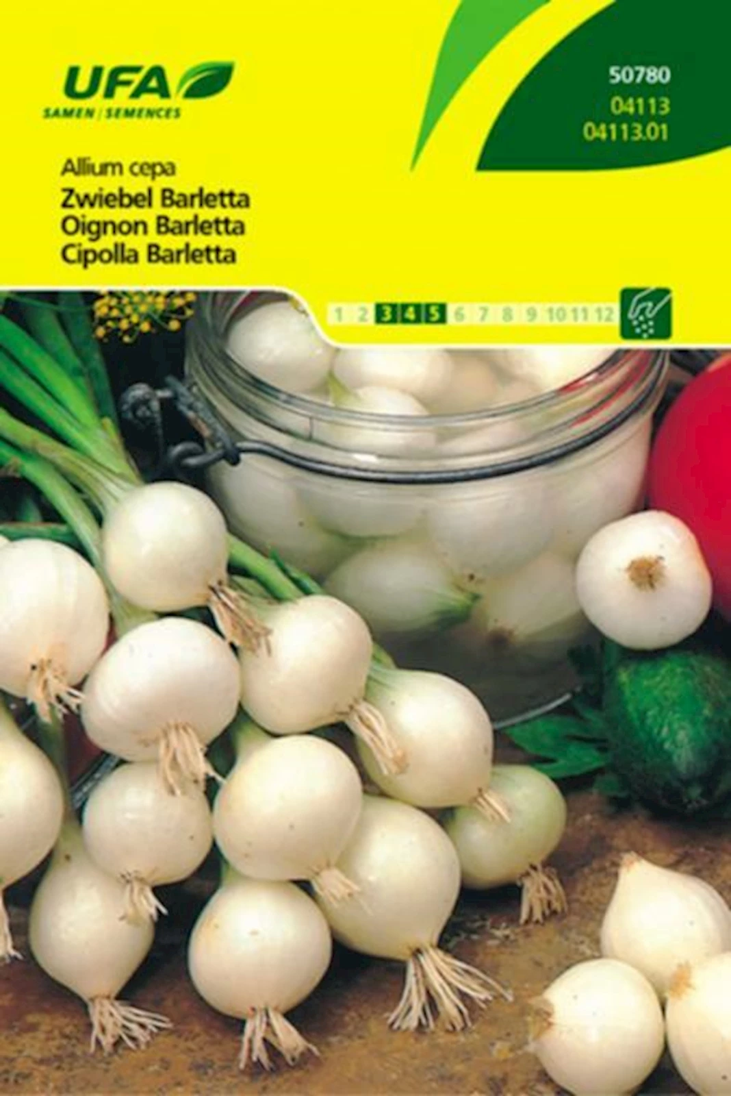 Zwiebeln Barletta UFA