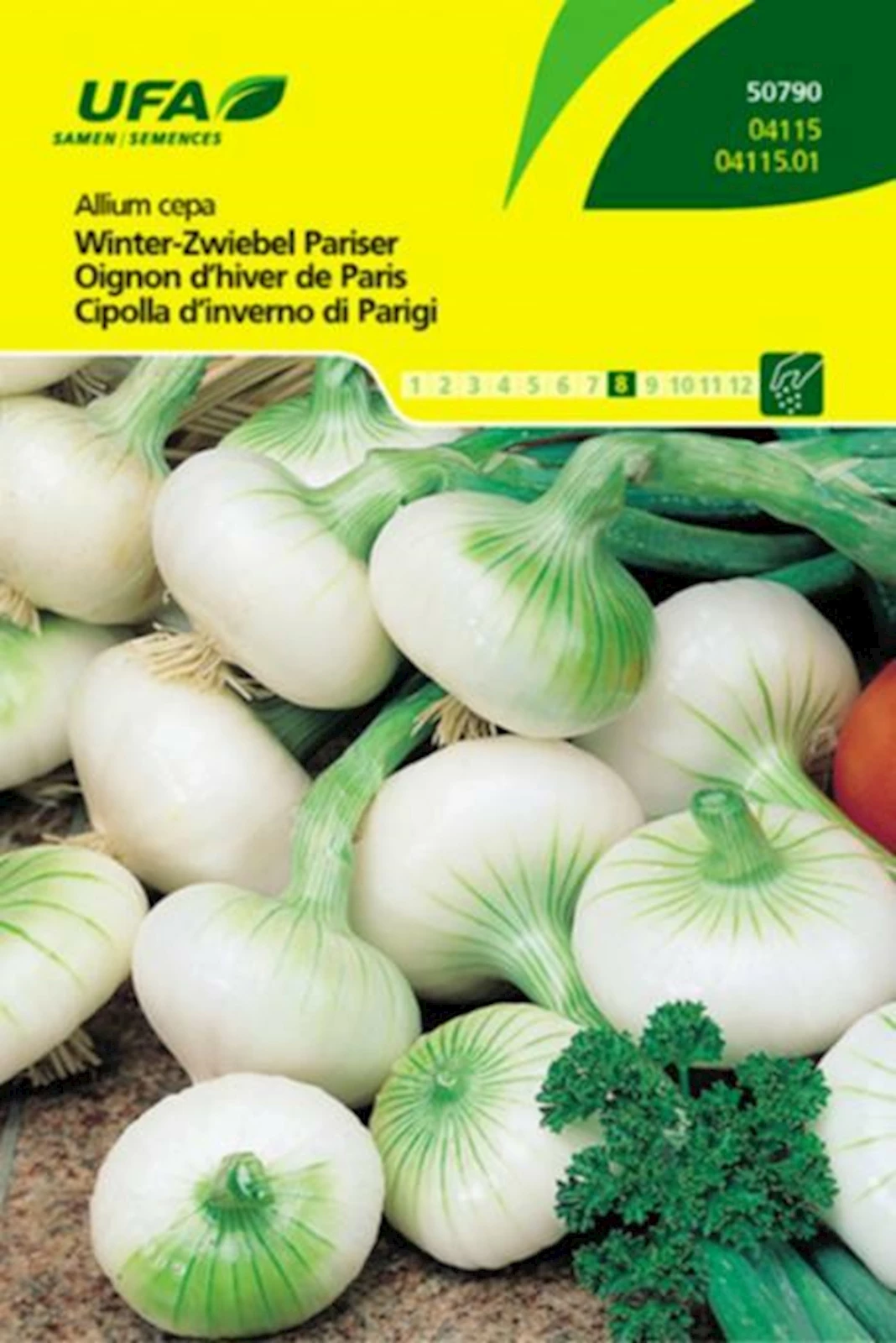 Zwiebeln Winter  Pariser UFA