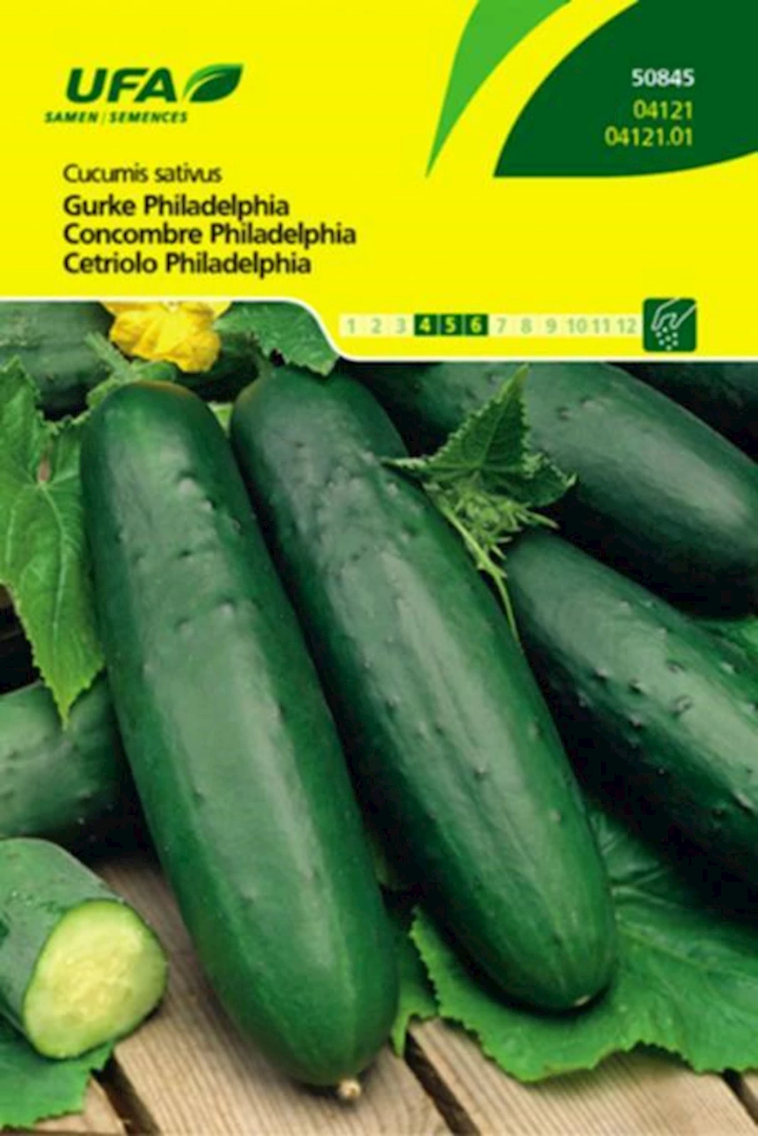 Gurken Philadelphia UFA