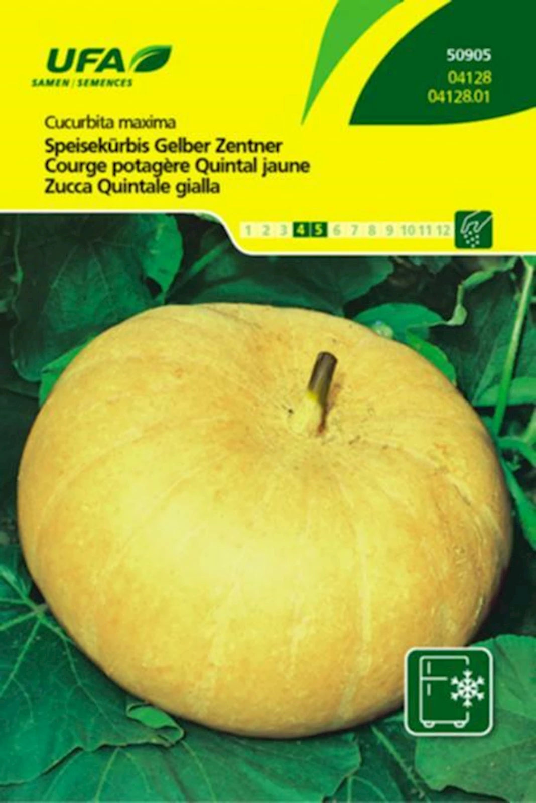 Speisekürbis Gelber UFA