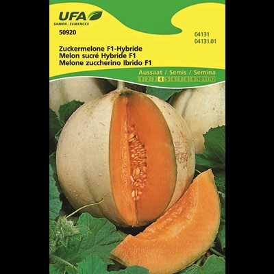 Melon sucré UFA