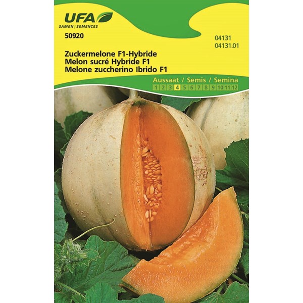 Melon sucré UFA