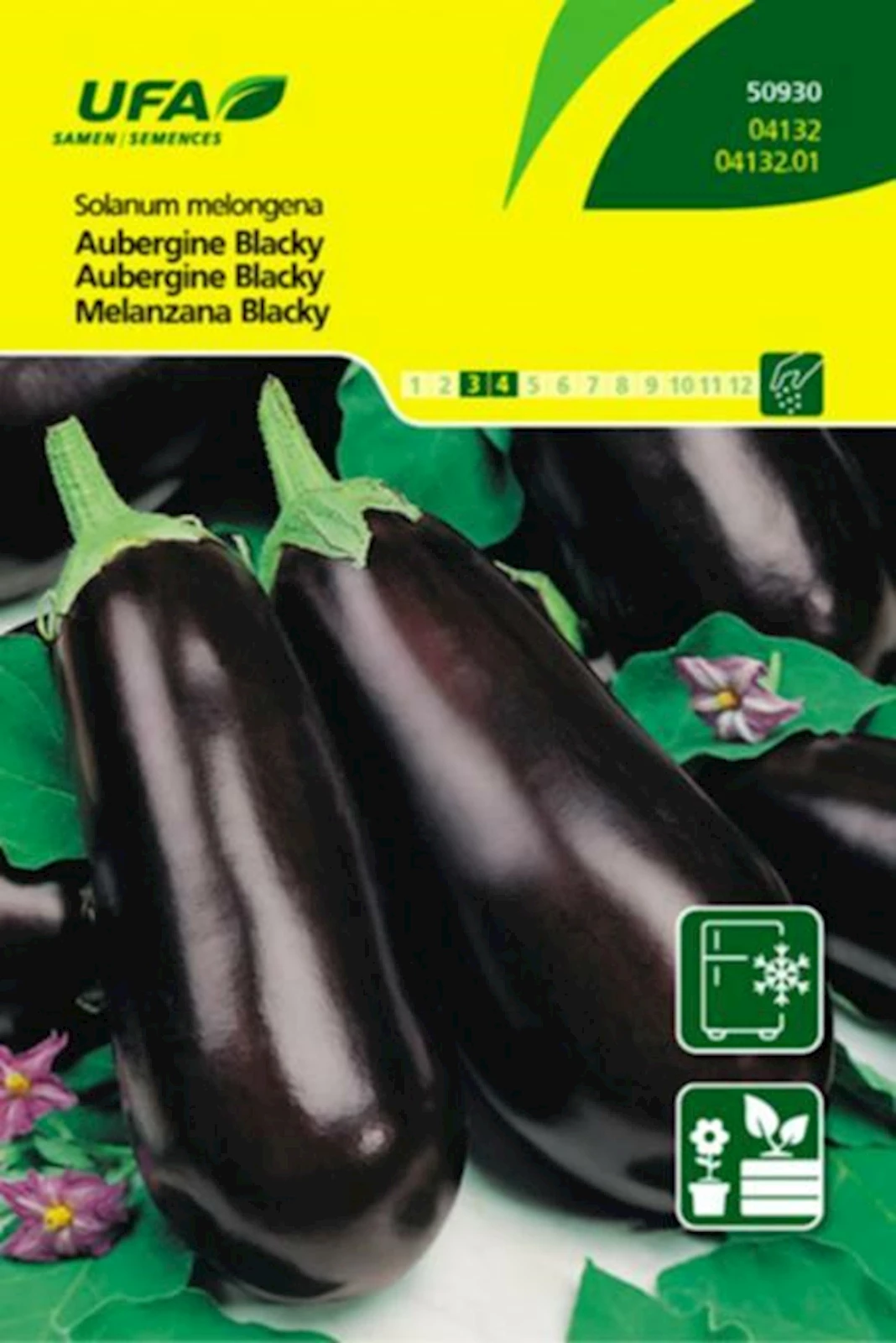 Aubergine Blacky UFA