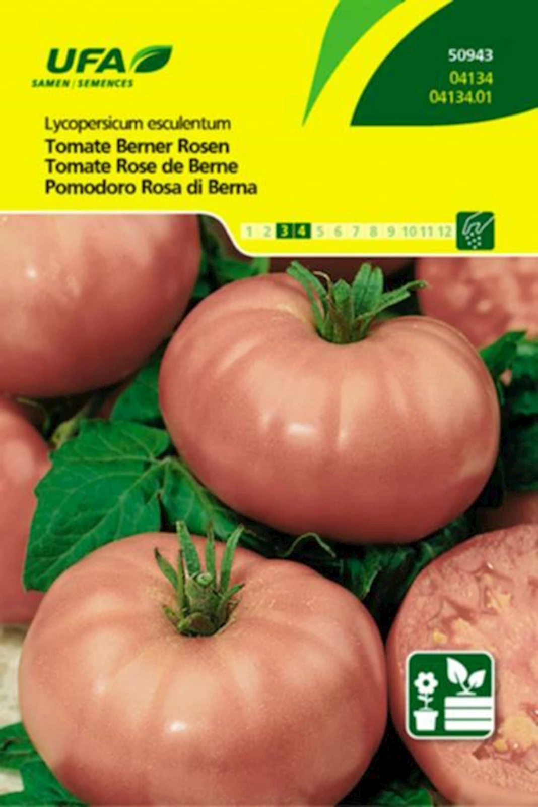 Tomates Rose de Berne UFA