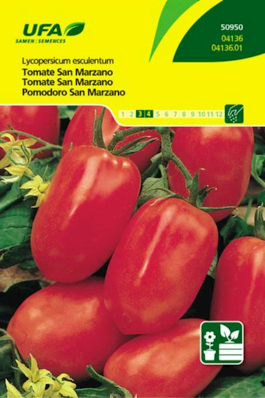 Tomaten San Marzano UFA