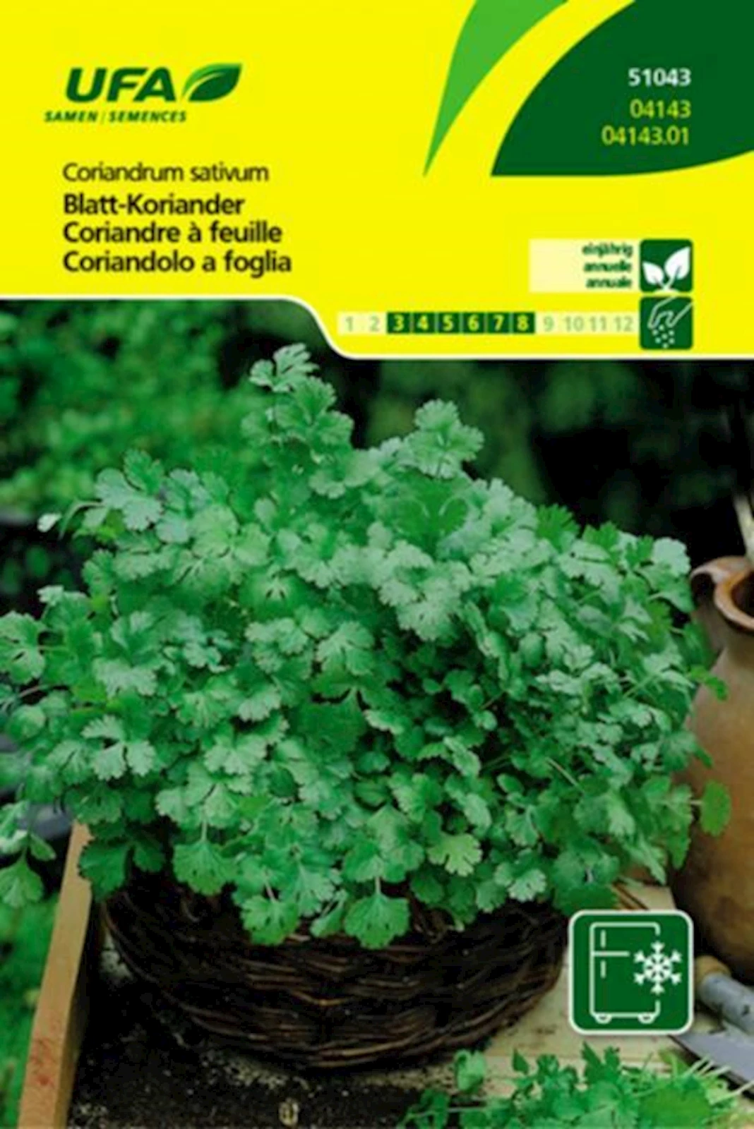 Koriander Kräuterblatt UFA