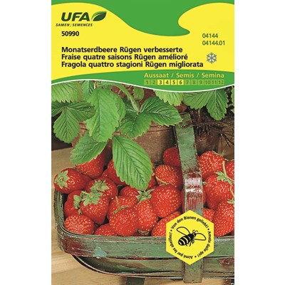 Erdbeeren Monats Rügen UFA