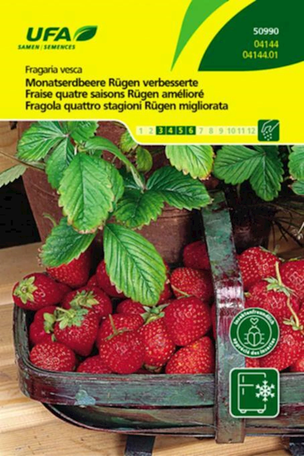 Fraises quatre saisons UFA