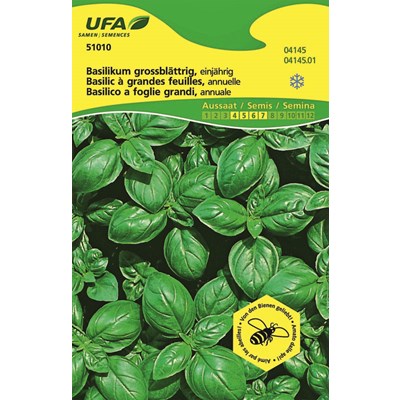 Herbes Basilic UFA