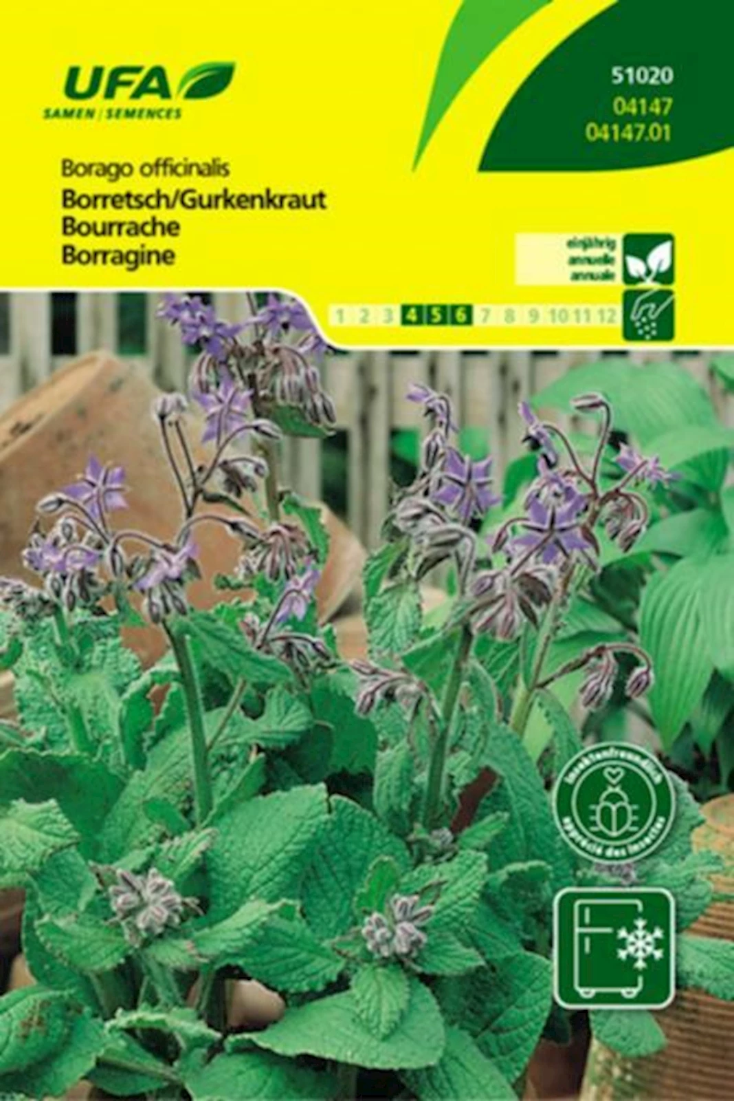 Kräuter Borretsch UFA