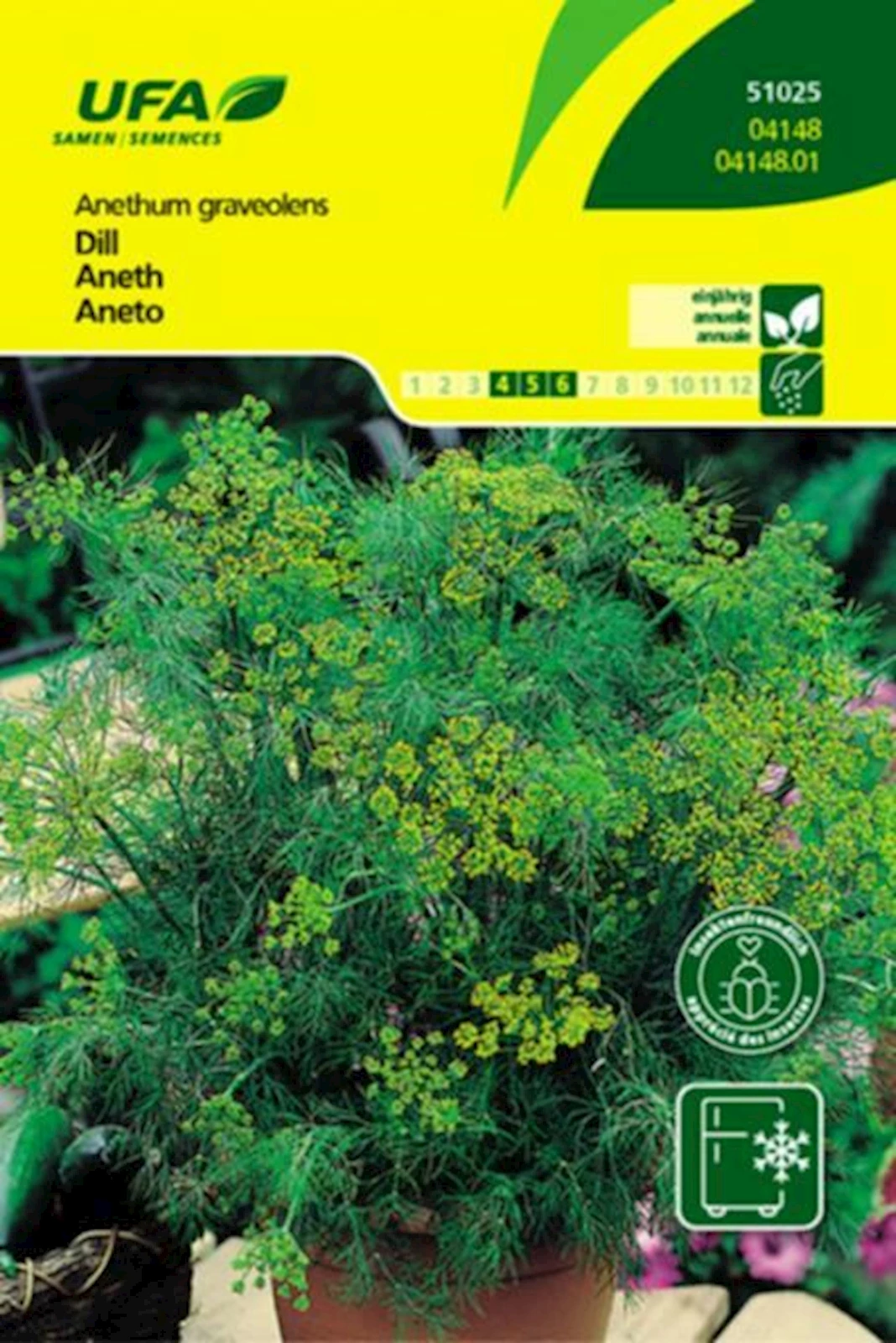 Kräuter Dill UFA