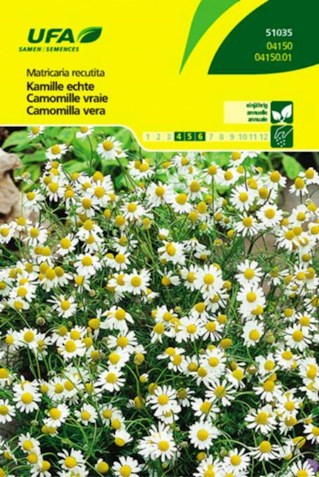 Kräuter Kamille Echte UFA