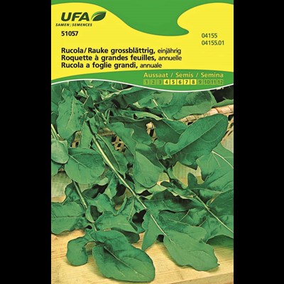 Herbes Roquette annuelle UFA