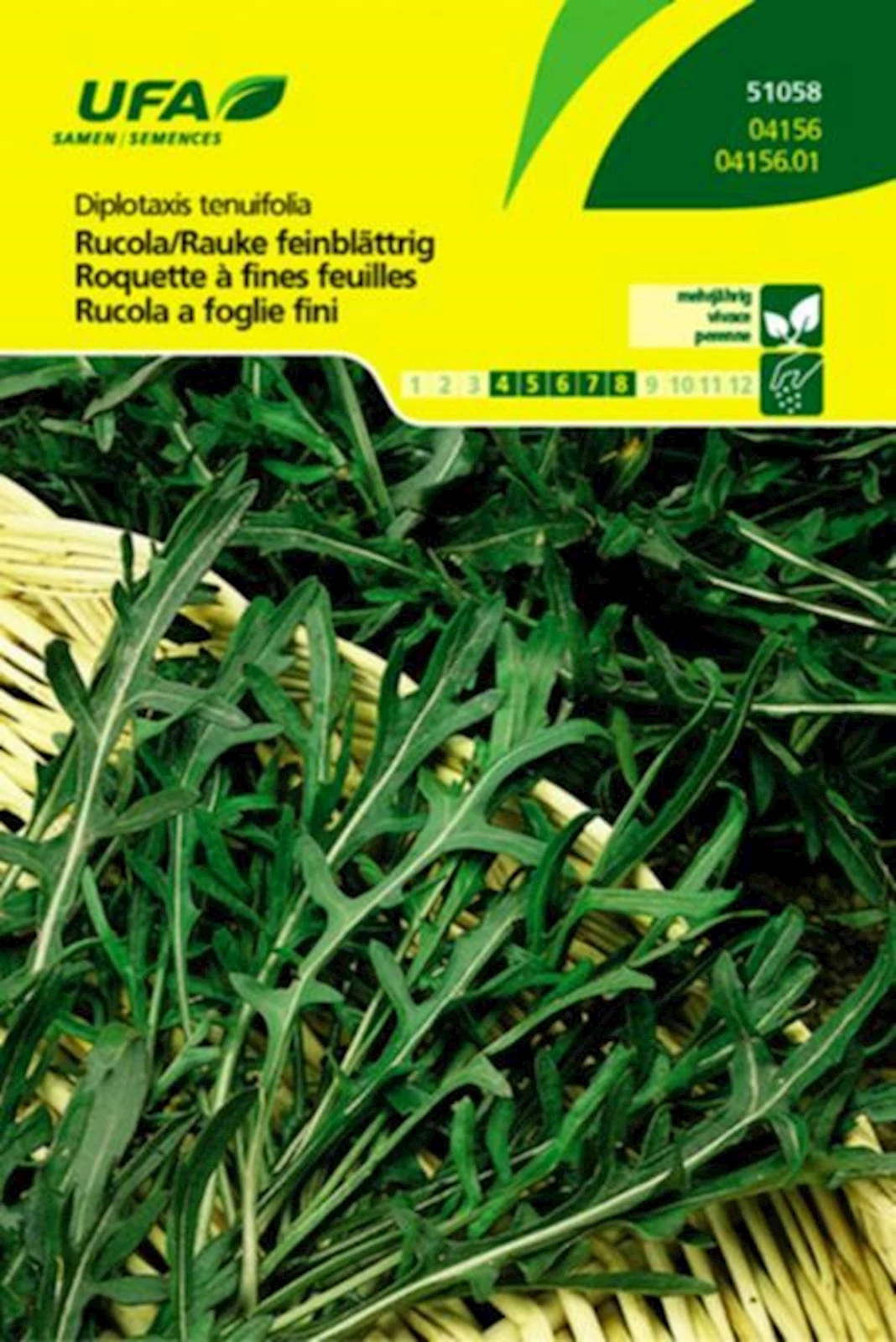 Kräuter Rucola/Rauke mehrj.UFA