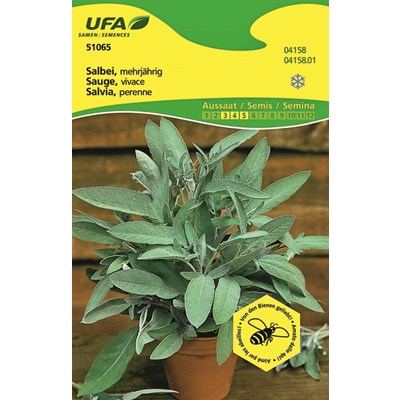 Herbes Sauge UFA