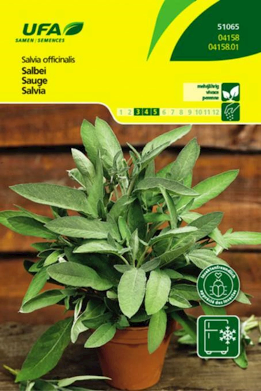Kräuter Salbei UFA