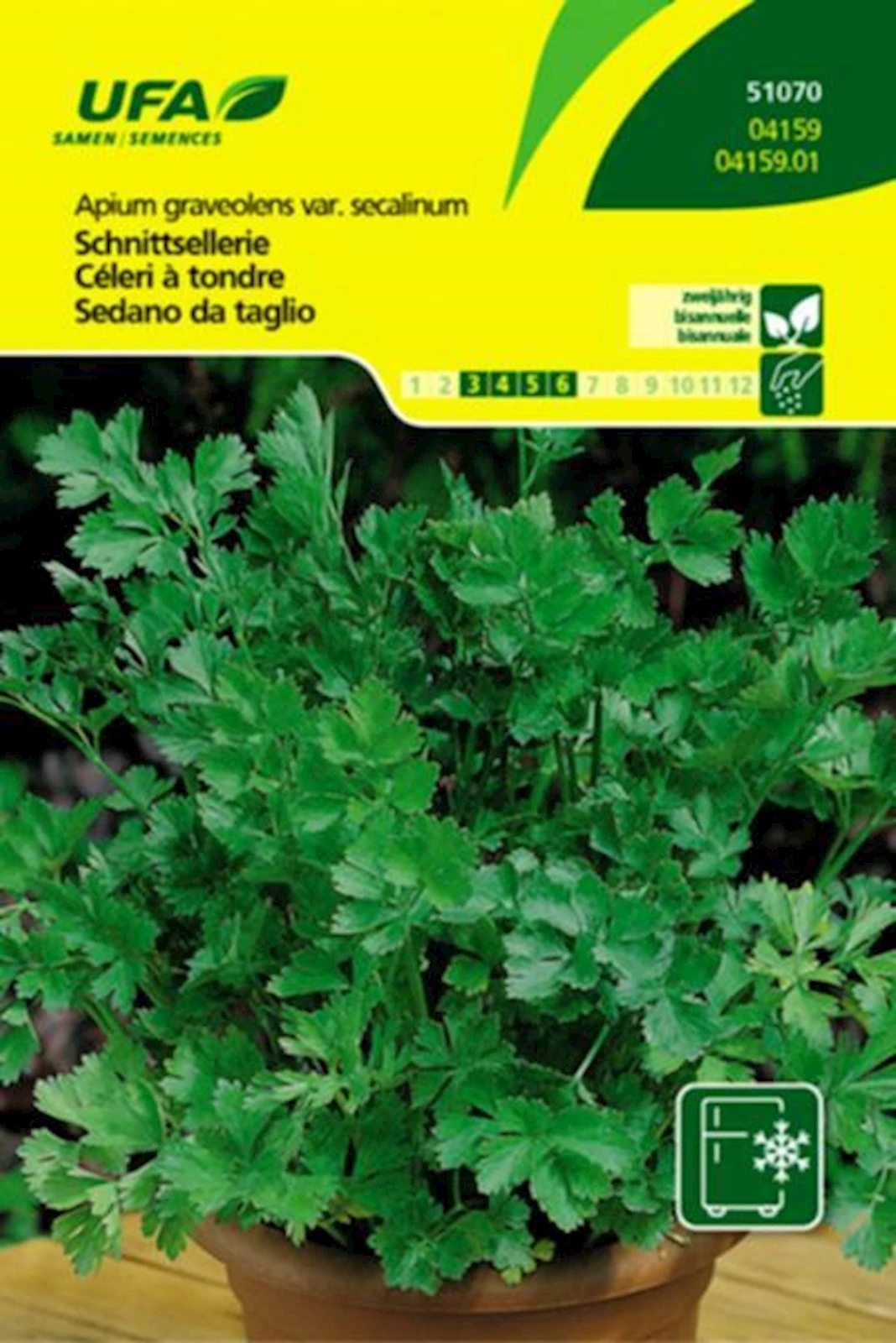 Kräuter Schnittsellerie UFA