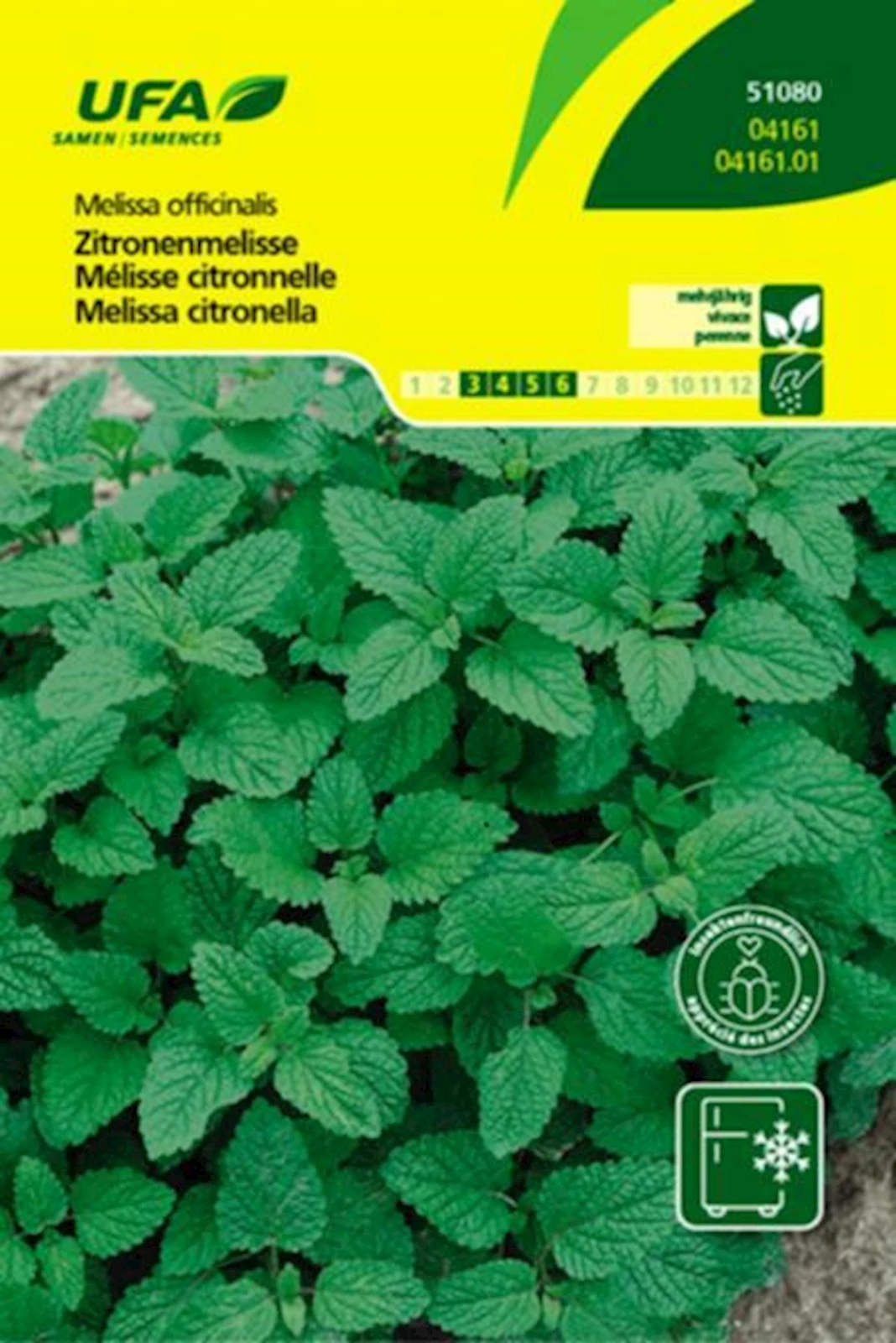 Kräuter Zitronenmelisse UFA