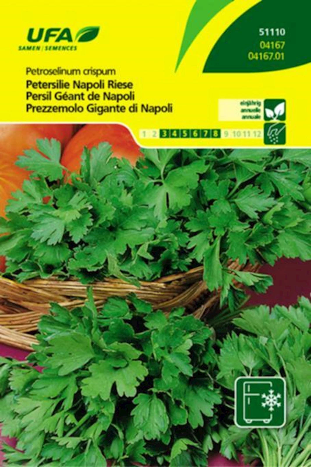 Petersilie Napoli Riese UFA