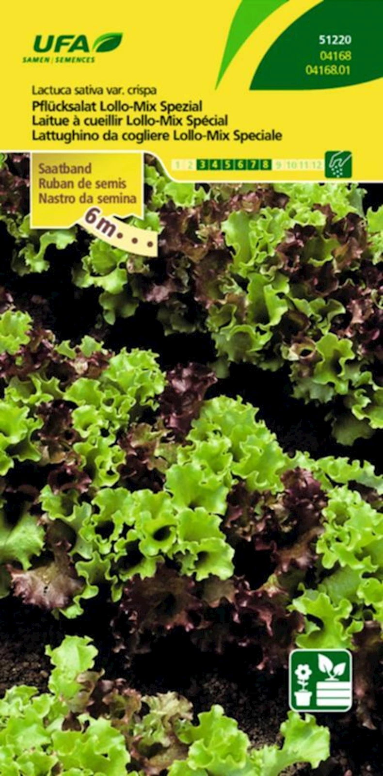 Pflücksalat Lollo Saatband UFA