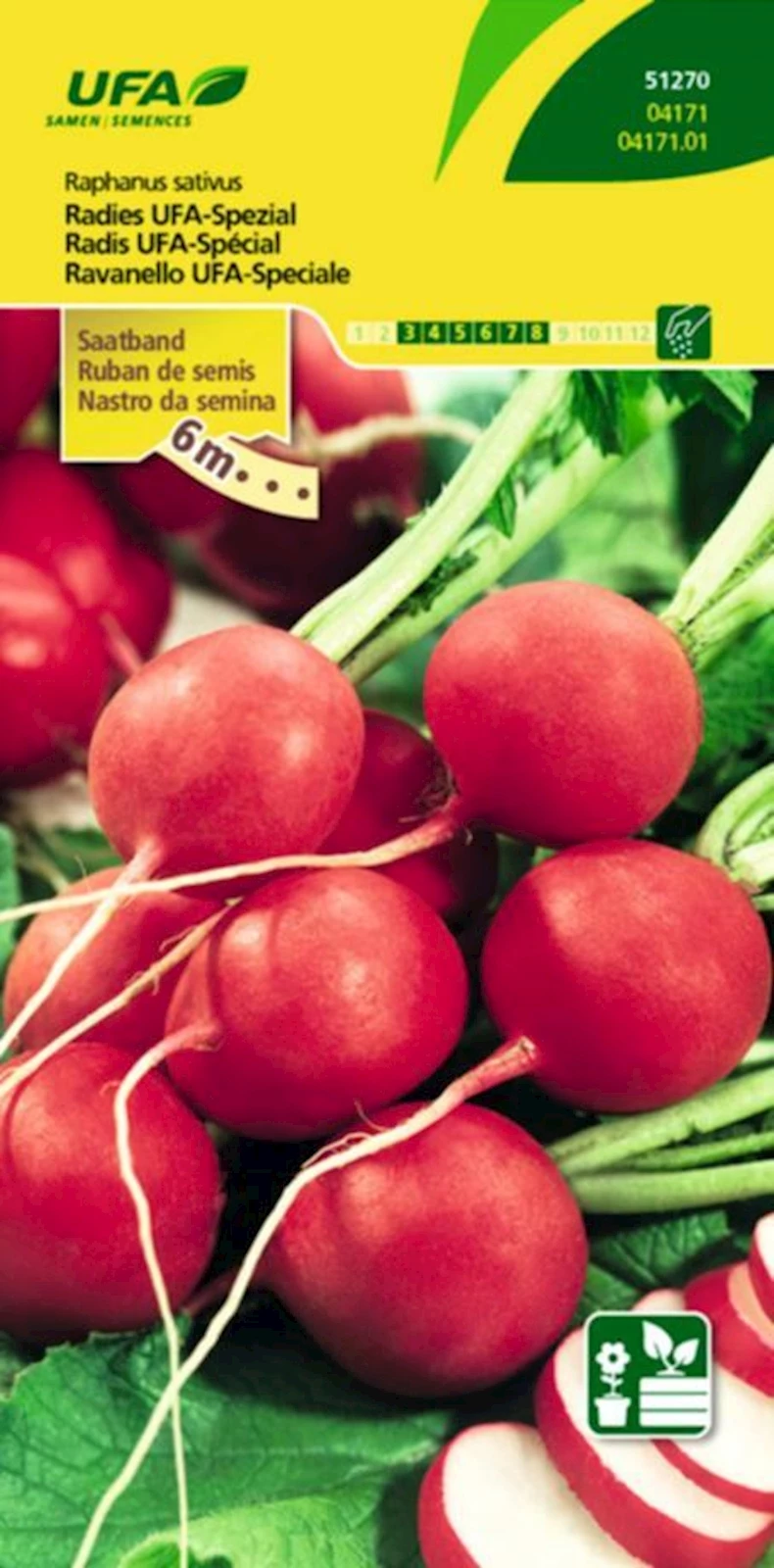 Radis ruban de semis UFA