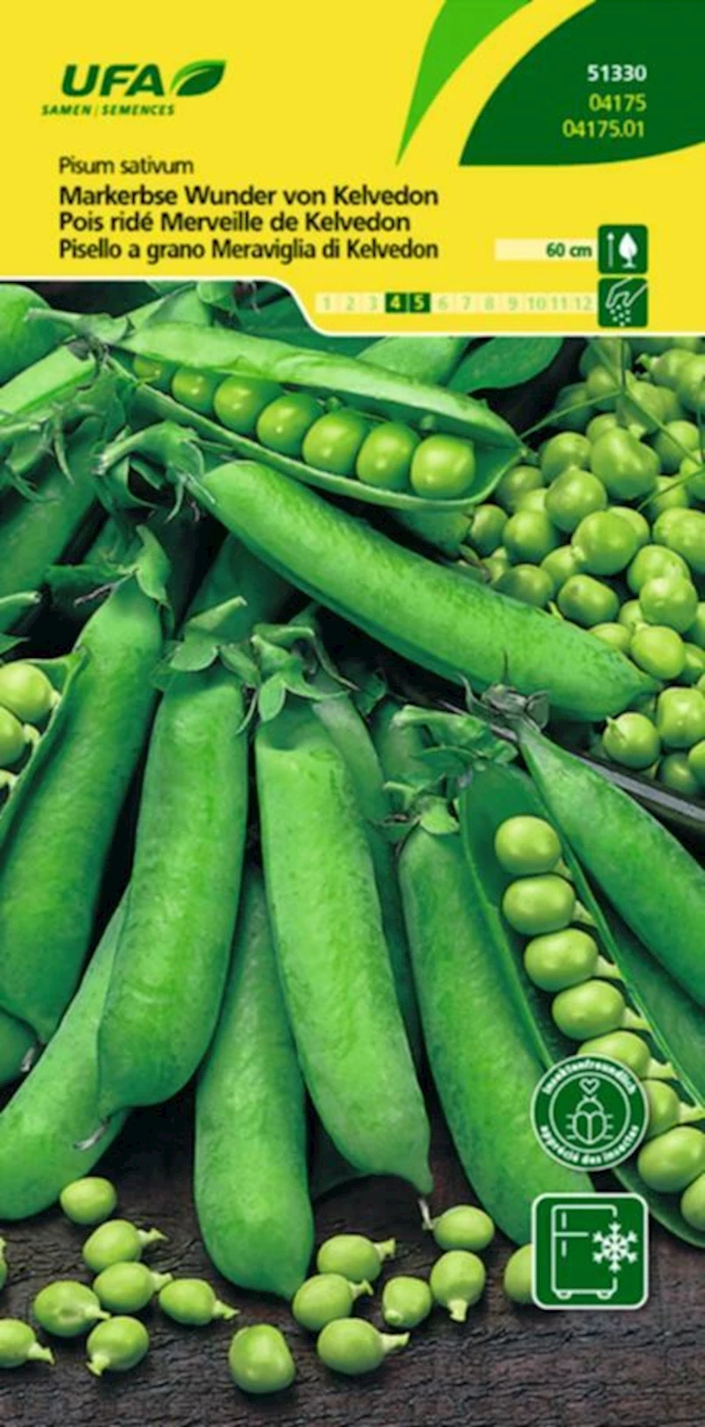 Markerbsen Wunder Von UFA