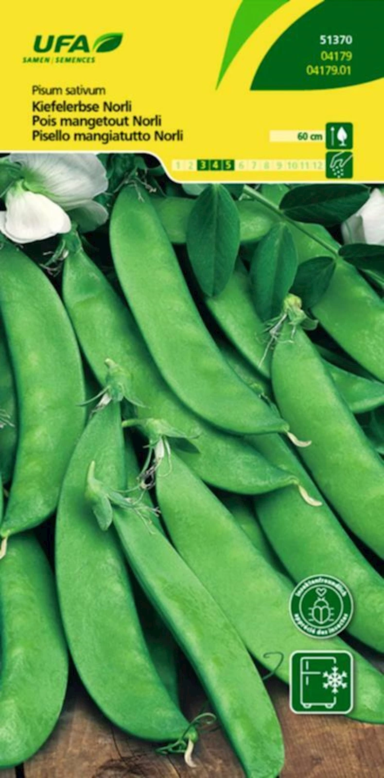 Kiefelerbsen Norli UFA