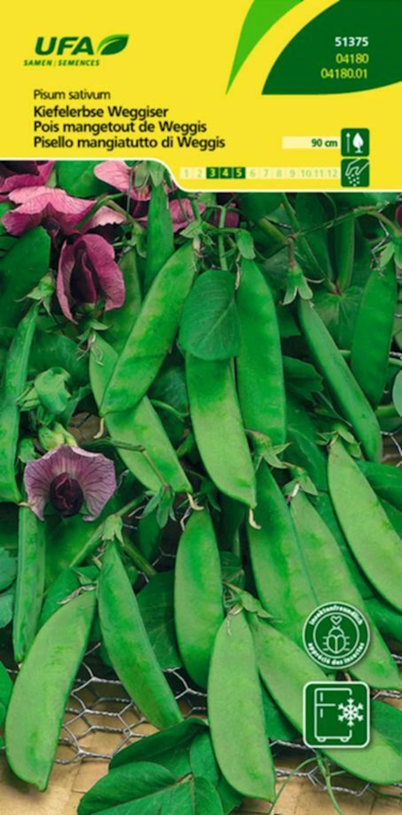 Kiefelerbsen Weggiser UFA