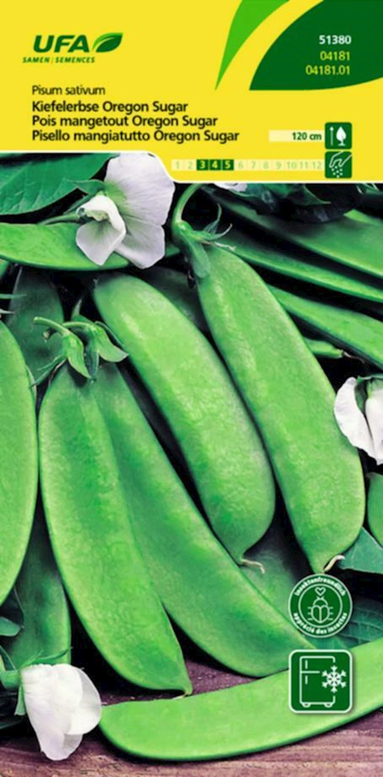 Pois mangetout Orégon UFA