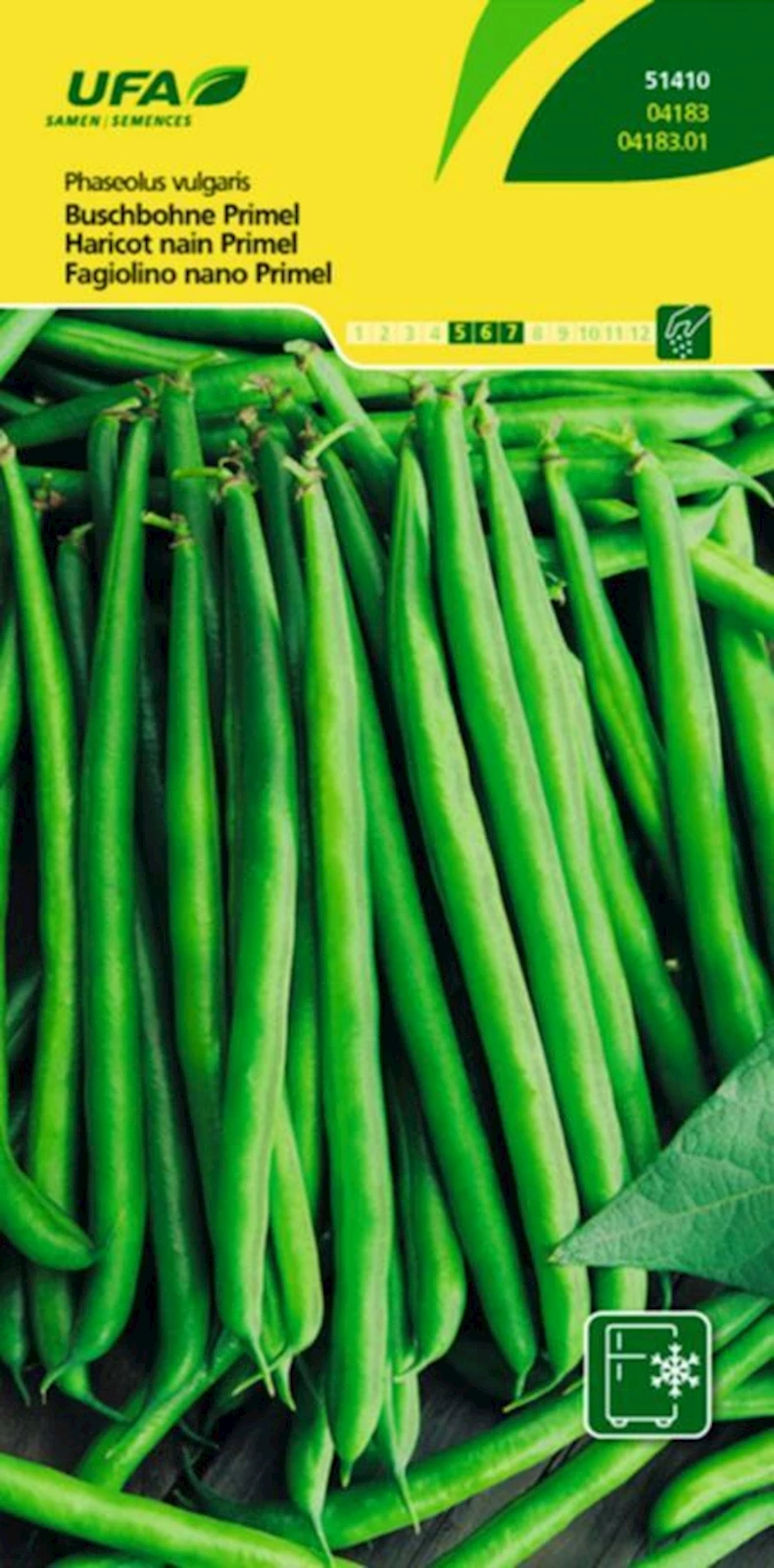 Haricots nains primevères UFA