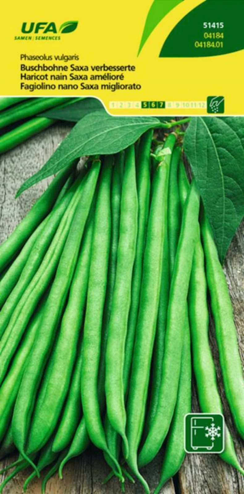 Haricots nains Saxa UFA