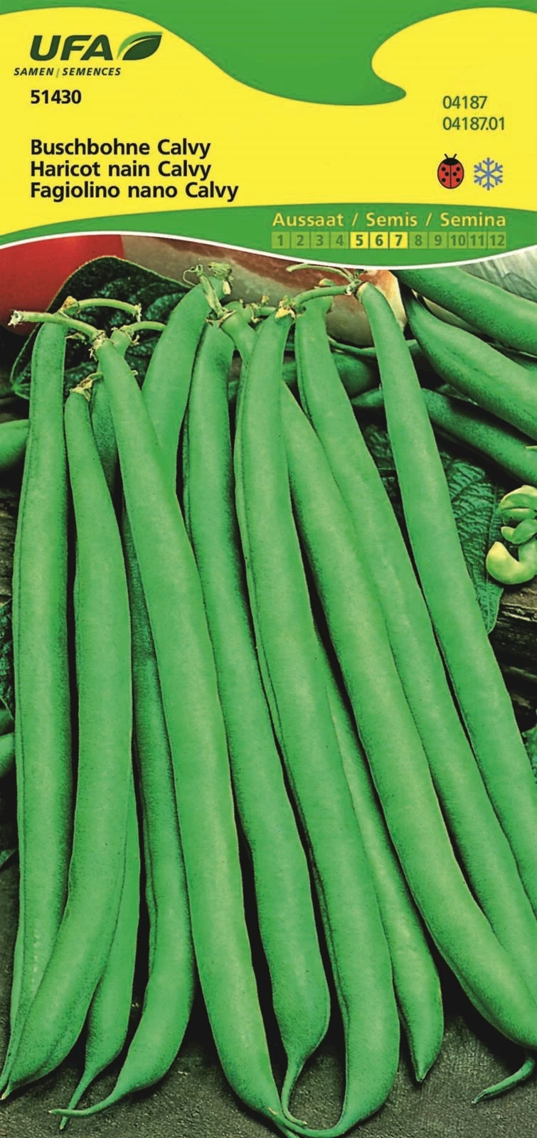Buschbohnen Calvy UFA
