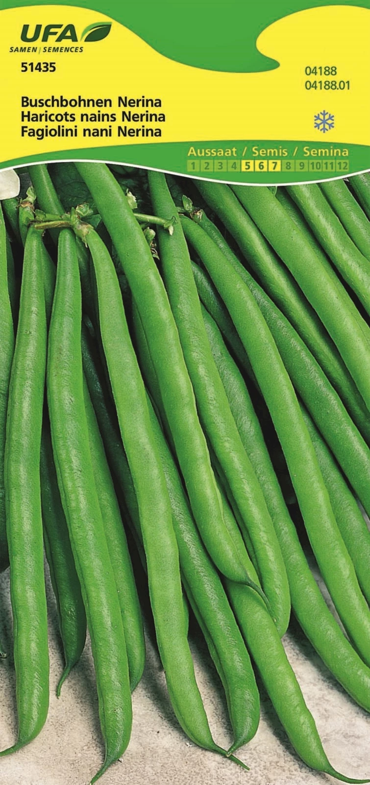 Buschbohnen Nerina UFA