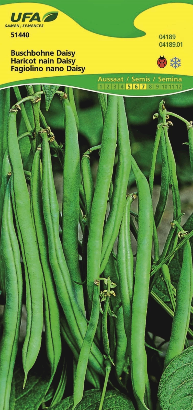 Buschbohnen Daisy UFA