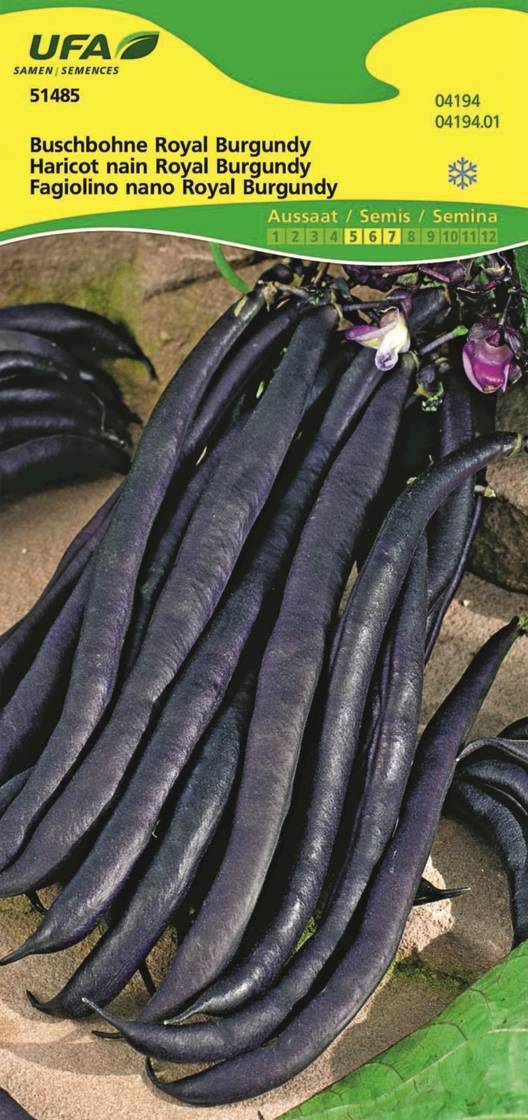 Buschbohnen Royal Burgundy UFA