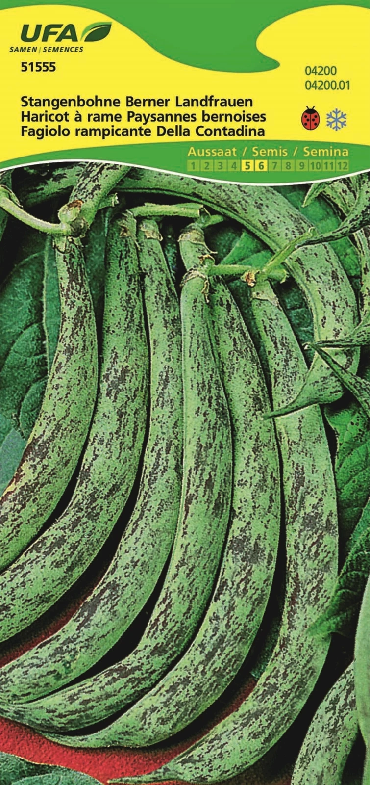 Stangenbohnen Berner Landf. UFA