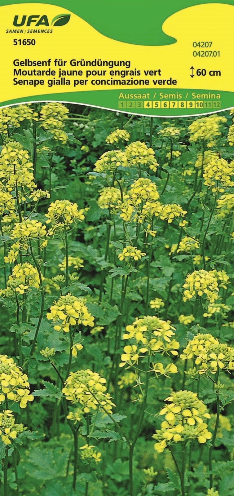 Gründüngung Gelbsenf UFA