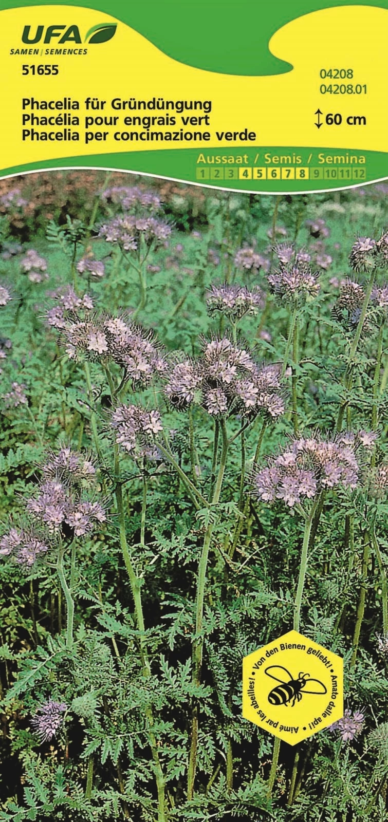 Gründüngung Phacelia UFA 50 g
