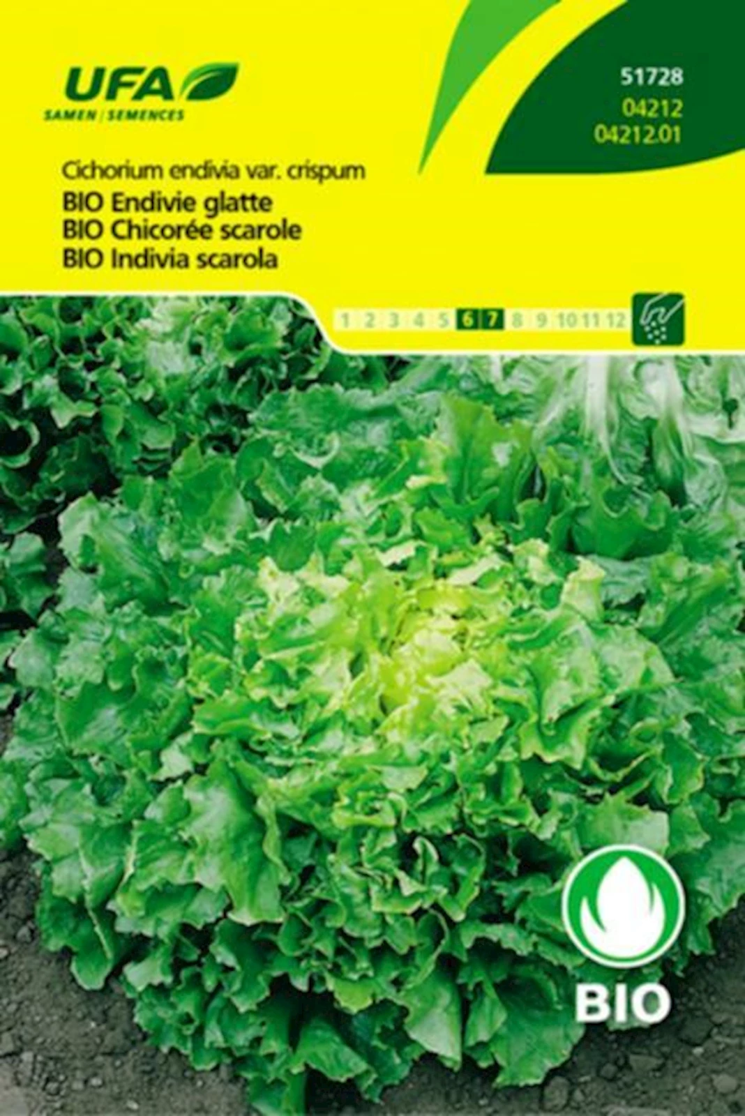 Chicorée scarole BIO-B UFA