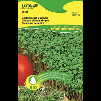 Gartenkresse Einfache BIO-K UFA