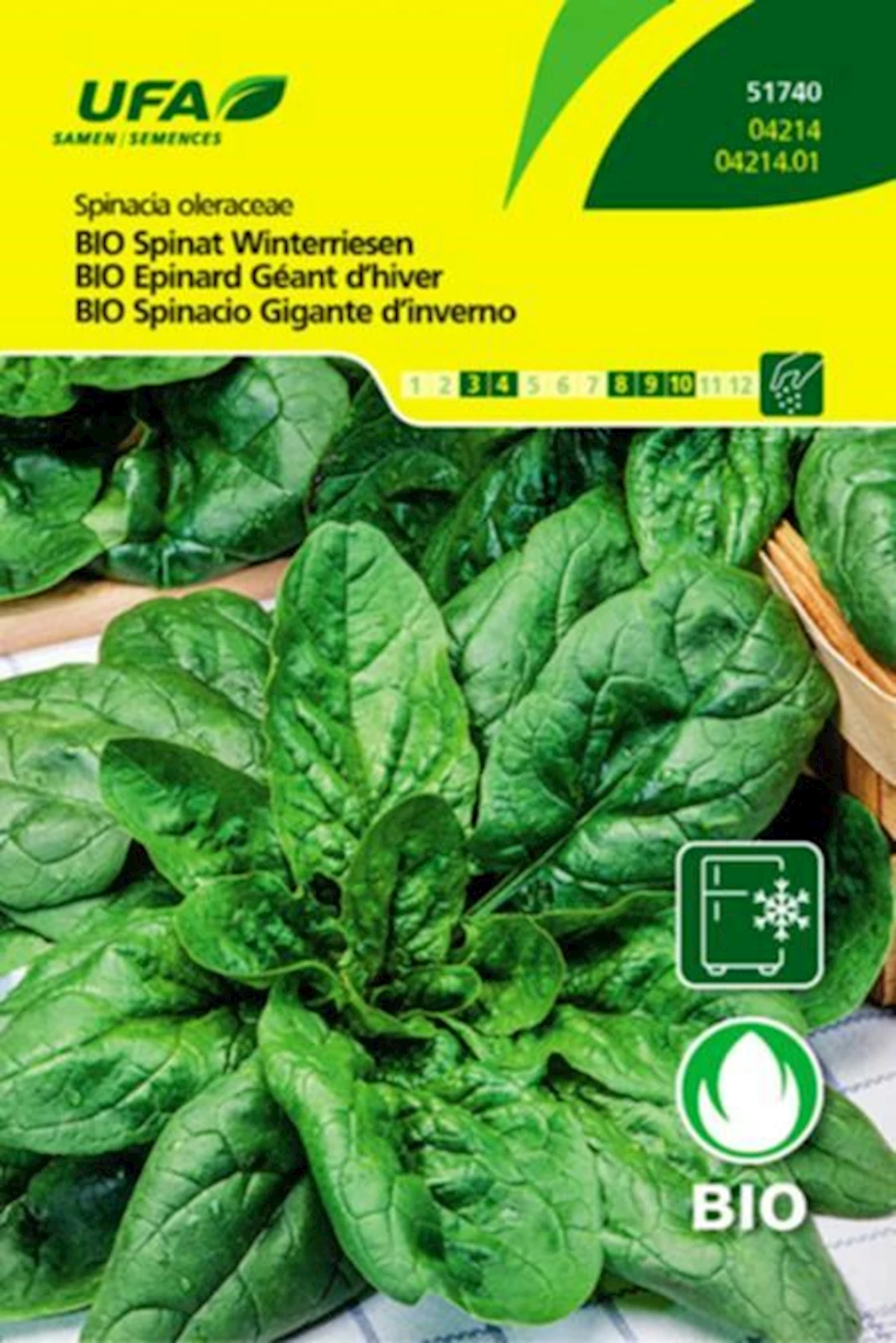 Spinat Winterriesen BIO-K UFA