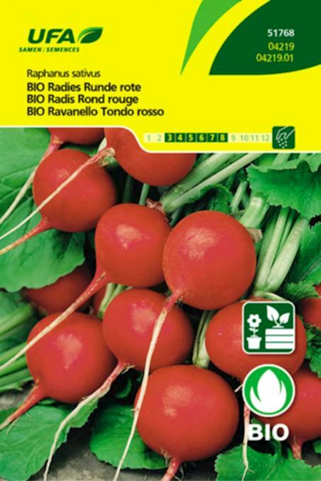 Radies Runde rot BIO-K UFA