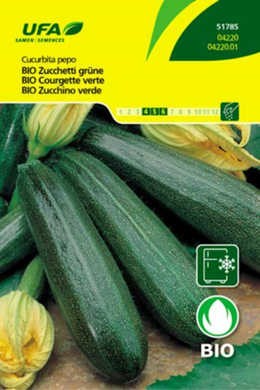 Zucchetti grün BIO-K UFA