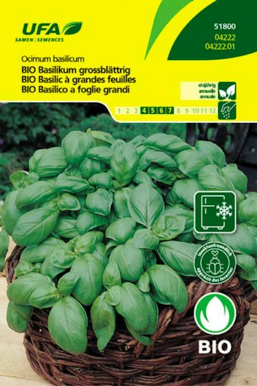 Kräuter Basilikum BIO-K UFA