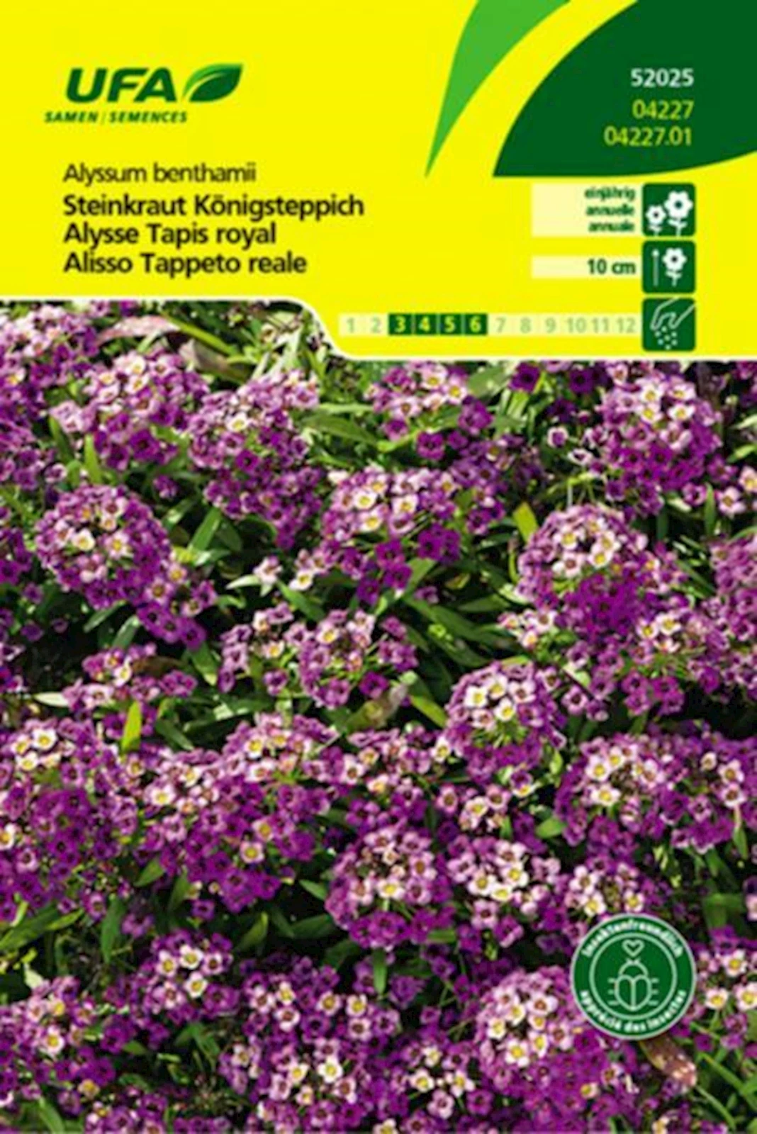 Steinkraut Königsteppich UFA