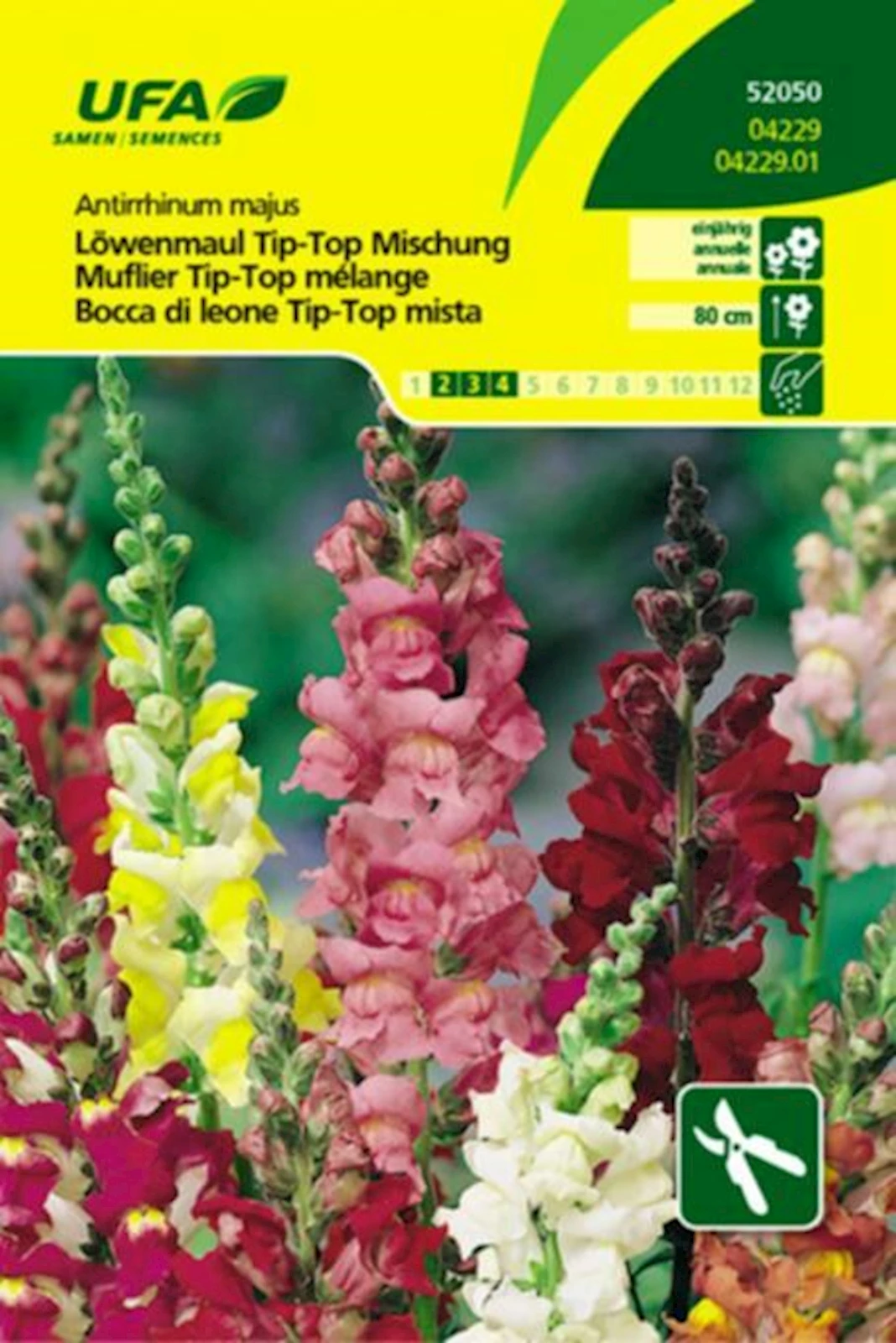 Löwenmaul Tip-Top Mix UFA