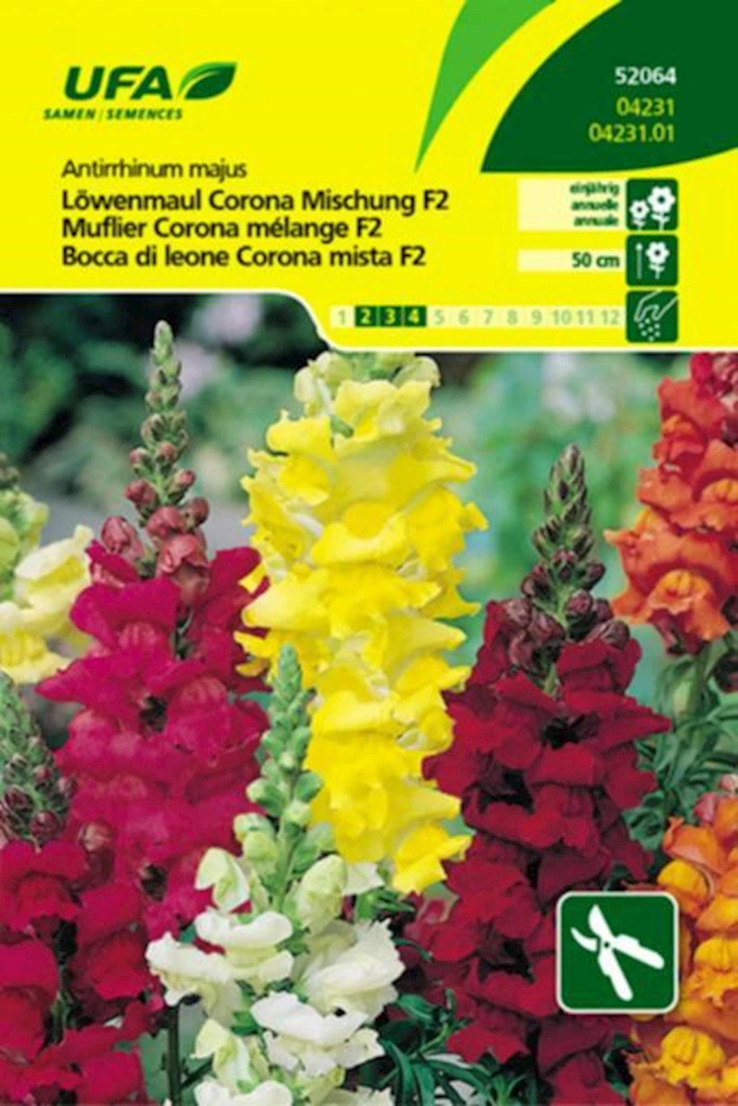 Löwenmaul Corona Mischung UFA