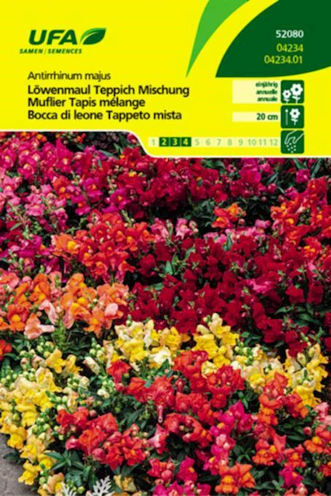 Löwenmaul Teppich Mix UFA