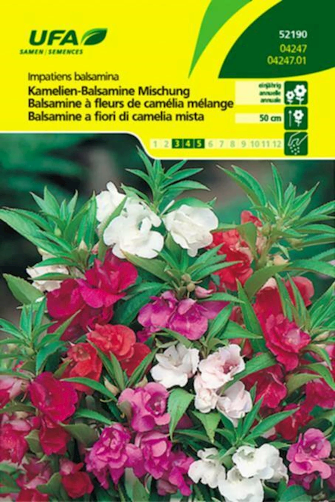 Kamelien-Balsamine UFA