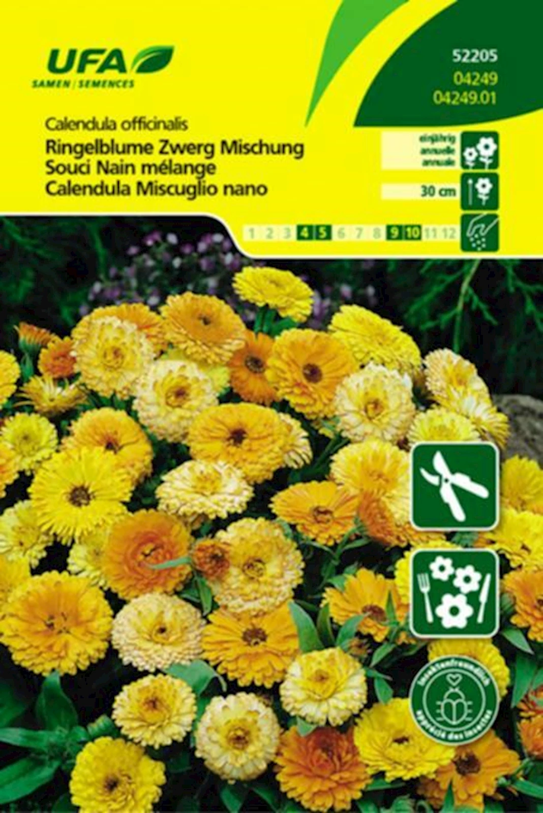 Ringelblume Zwerg UFA